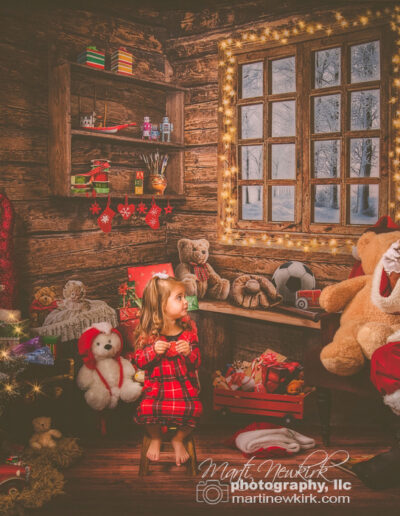 santa-greensboro-pleasant_garden-017